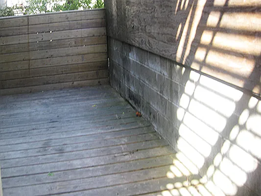 Rented by Awaye Realty Management LLC | media 11