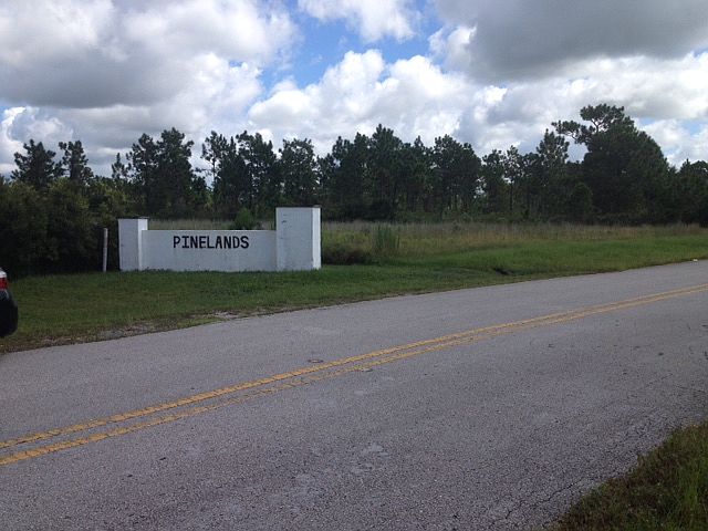 Pinelands