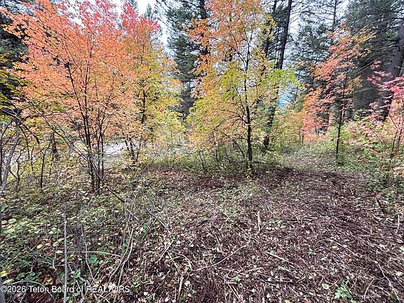 2nd image of LOT 60 Cedar Dr