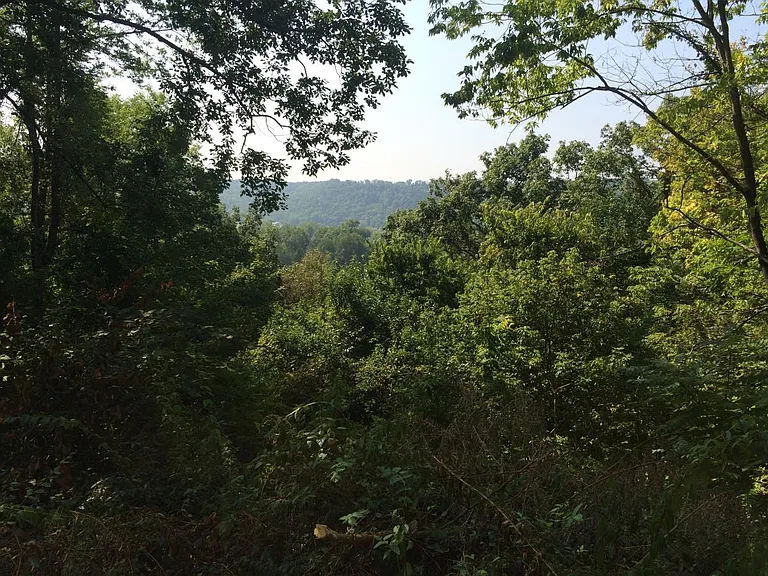 View Looking South