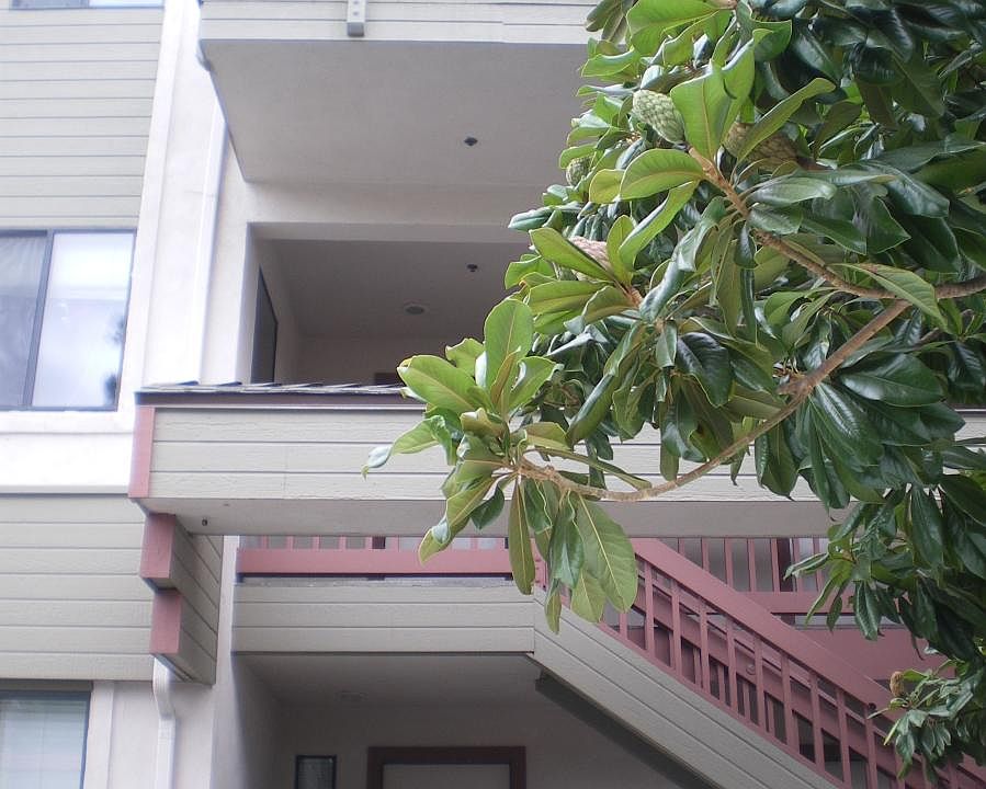 2nd image of 1239 E Foothill Blvd APT 103