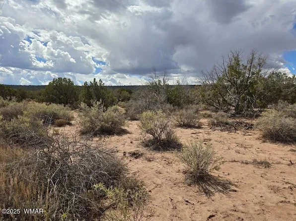 4012 Colt Rd, Snowflake, AZ 85937