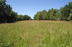 2nd image of Chinquapin Rd