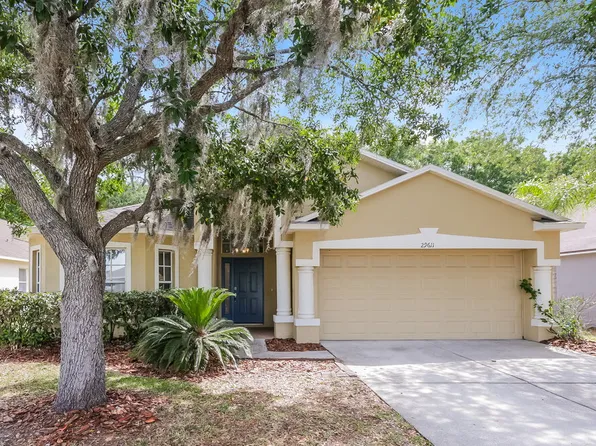 29611 Birds Eye Dr, Wesley Chapel, FL 33543