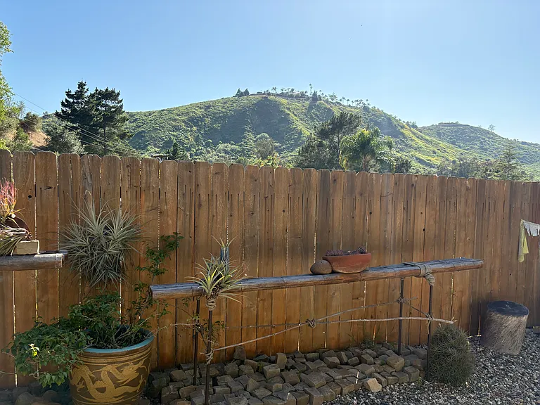 Portesuello Ave — Photo 12
