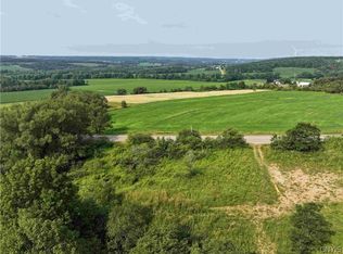 Ball Hill Rd, South Dayton, NY 14138