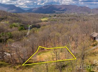 90 Last Coyote Trl, Canton, NC 28716