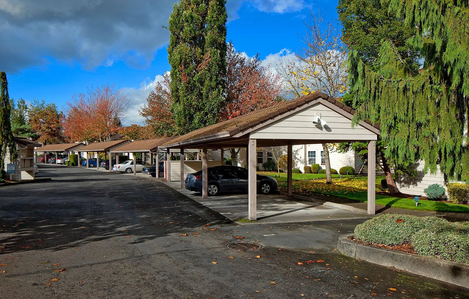 1 bed, 758 sqft, $1,425 — Photo 3