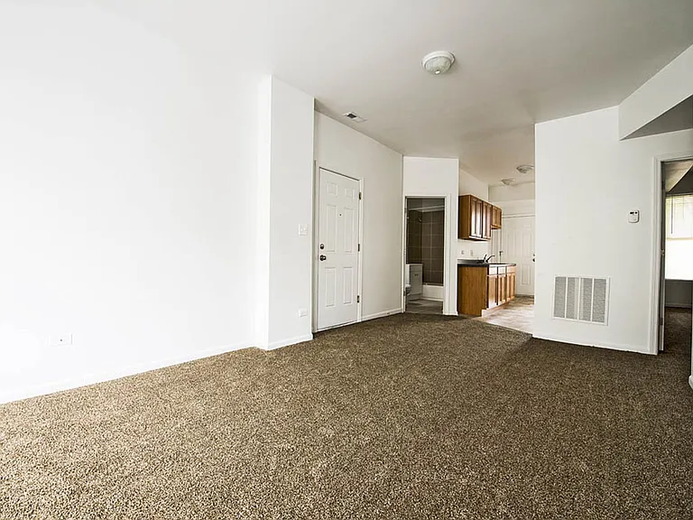 708-14 S Karlov Ave 4101-05 W Fifth Avenue Chicago, IL 60624 — Photo 21
