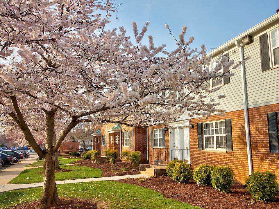 Kingsley Commons Townhouses Property