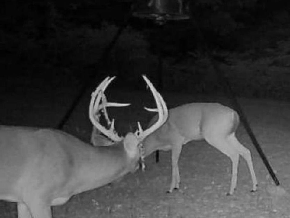 100 A County Hwy 30, Woodville, AL 35776 MLS 1835260 Zillow