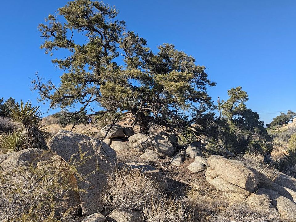 1st image of 84 Mountain Park Rd
