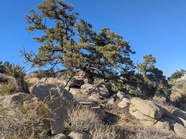 84 Mountain Park Rd, Mountain Center, CA 92561