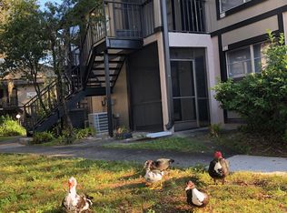 4022 Tumble Wood Trl APT 203, Tampa, FL 33613
