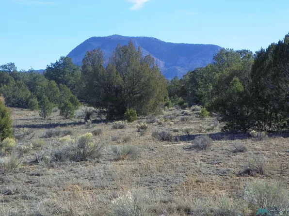 78 E Sawtooth Dr, Pie Town, NM 87827