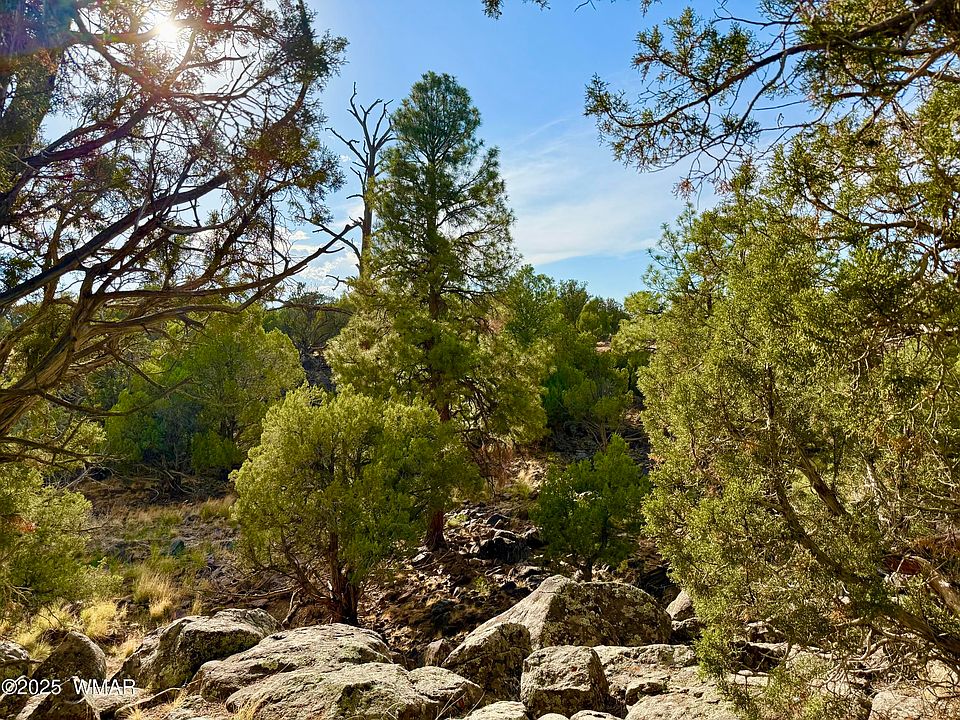 1st image of 1842 Rocky Bottom Pl