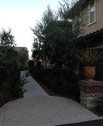 2nd image of 24484 Marzal St