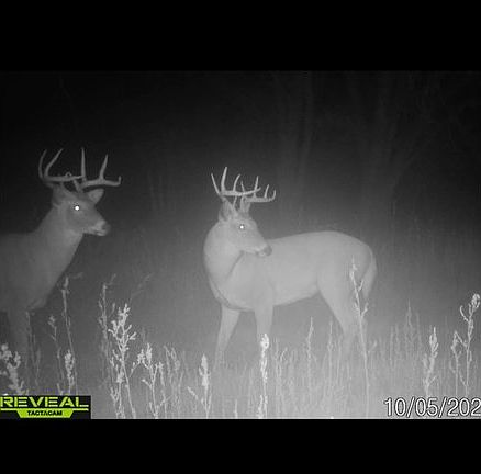 2nd image of 26247 County Road 2