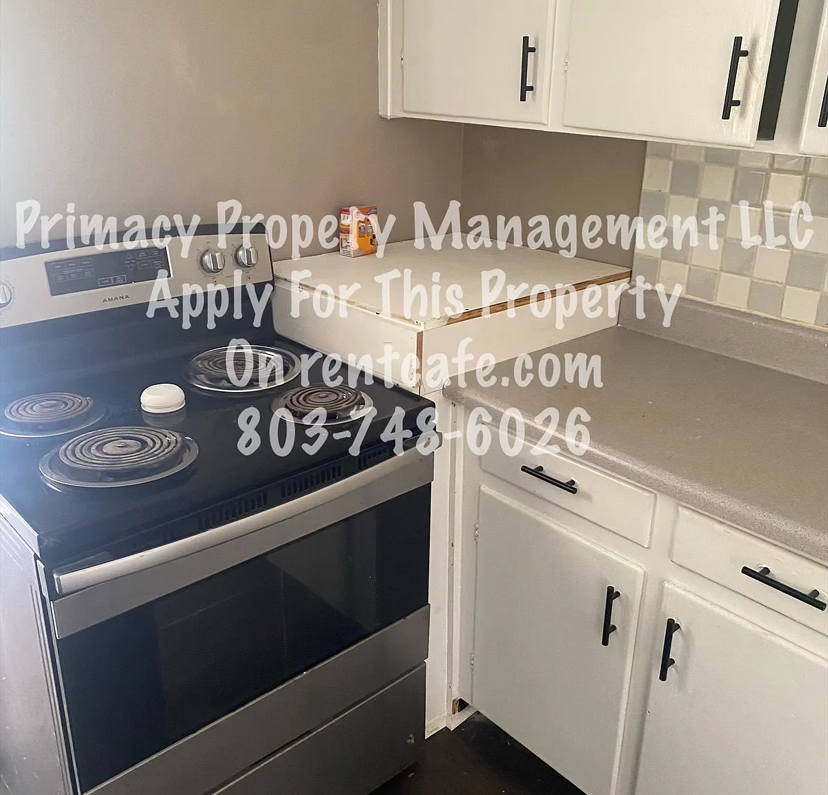 2 bed, 1000 sqft, $1,350 — Photo 1