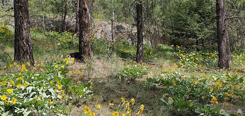4th image of 6 Lot Okanogan River Ranches Div 1
