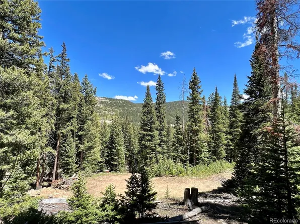 485 Peterson Drive, Alma, CO 80420