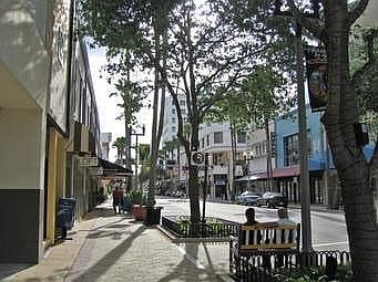 3rd image of 208 Clematis St APT 504