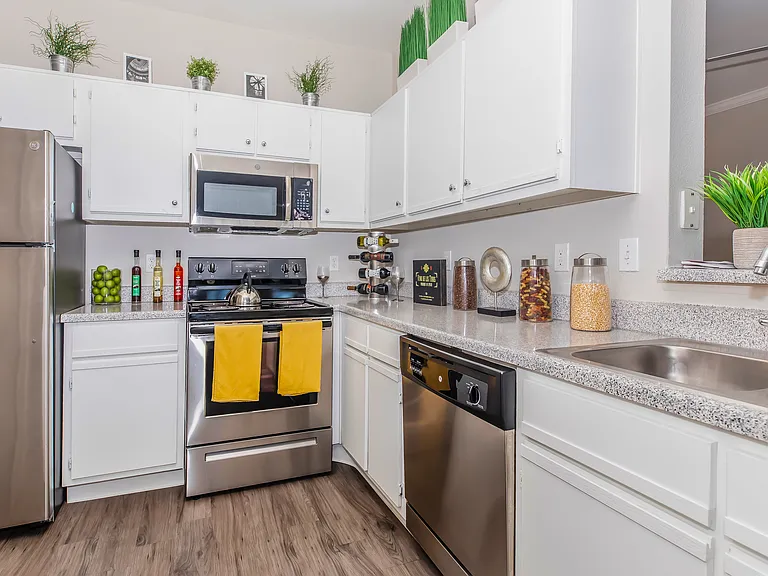 The Lakeview Apartmentss — Photo 9