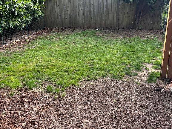 Back yard view from patio