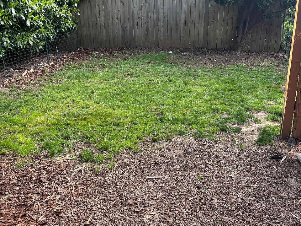 Back yard view from patio
