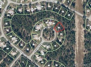 14 Grandifloras Ct, Homosassa, FL 34446