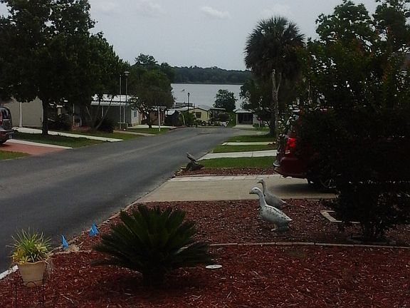 view from front porch
