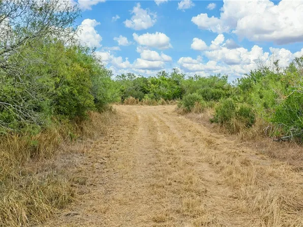 1121 County Road 481, Alice, TX 78332