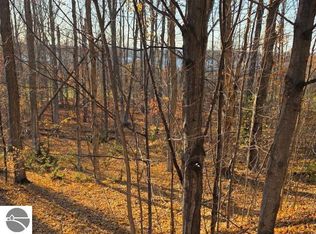 1 Palmer Dr, Bellaire, MI 49615