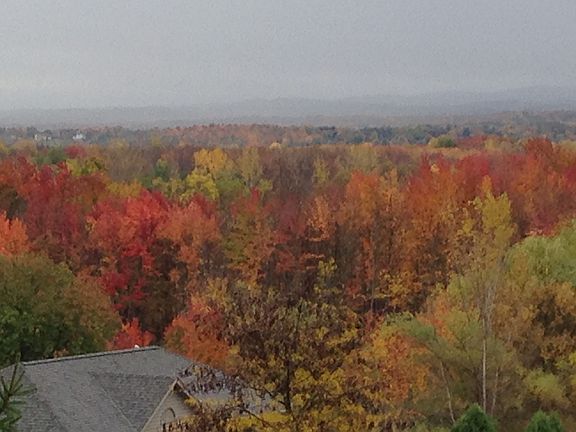 The view last year...