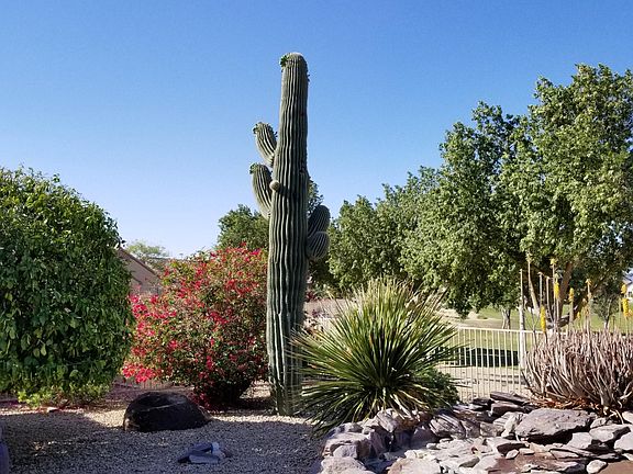 5th image of 17982 N Petrified Forest Dr