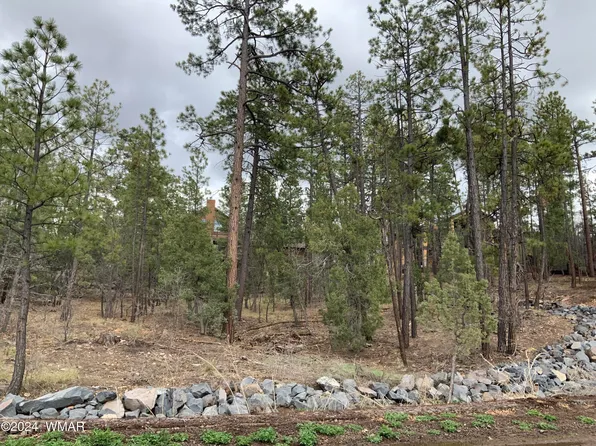 Tbd Pine Wood Ln, Pinetop, AZ 85935
