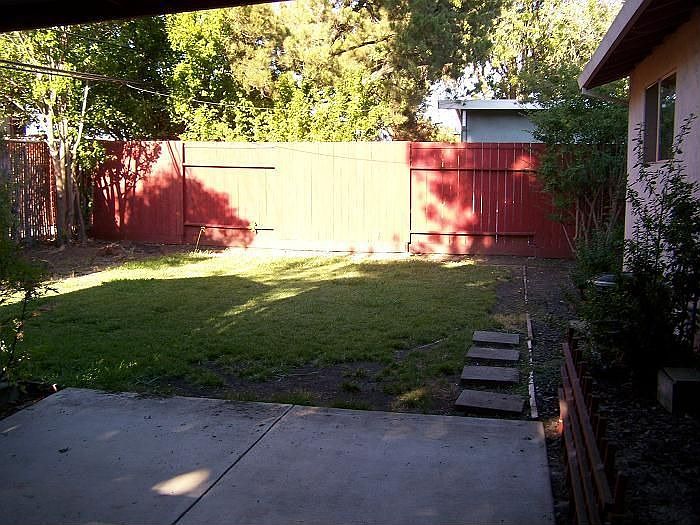 Back yard