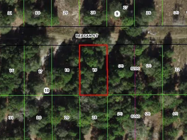 2309 Reagan St, Inverness, FL 34453