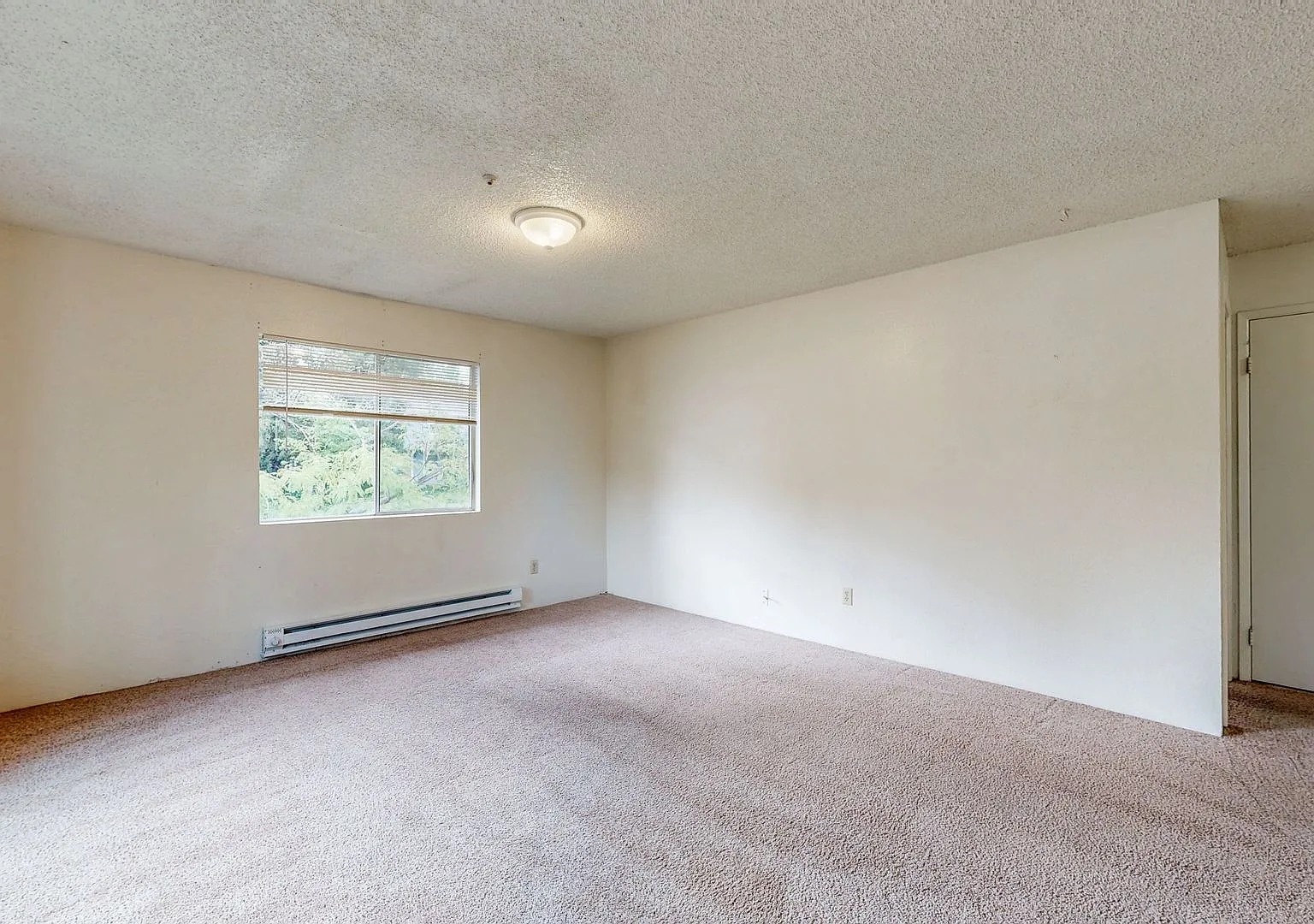1201-1255 Mission Blvd — Photo 4