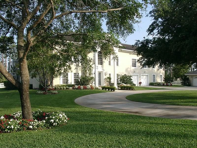 North View