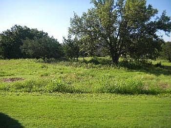 5th image of 409 Palmetto Dr