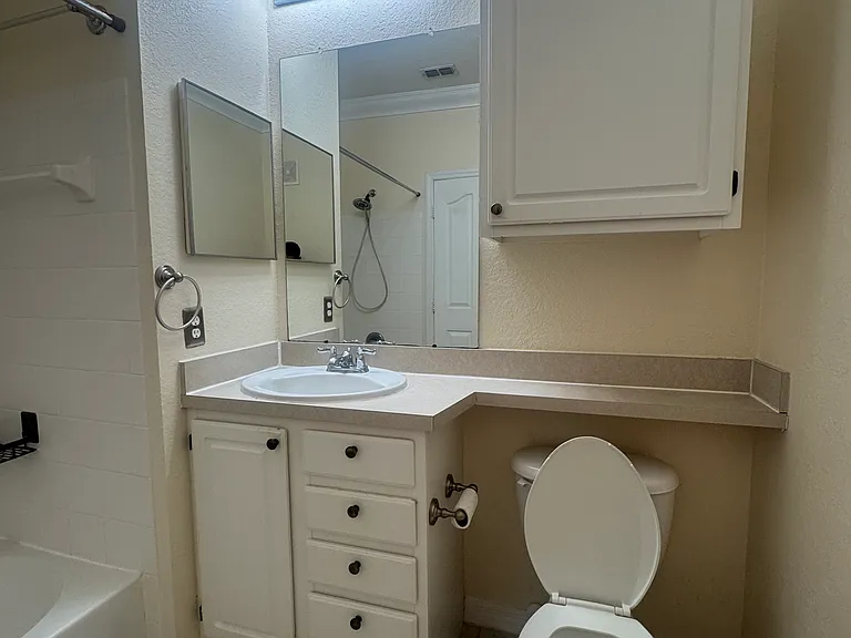 2603 Maitland Crossing Way #10305 — Photo 25