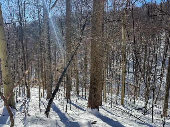 Starkey Run LOT WP001, Mannington, WV 26582