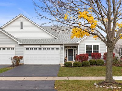 713 Bellevue Cir, Oswego, IL, 60543