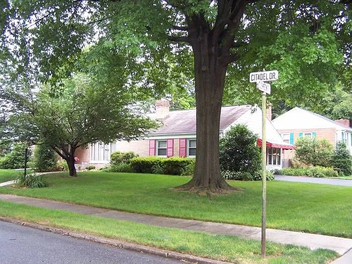 8 Clemson Dr photo 1