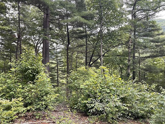 2nd image of 631 Silverstone Dr #19