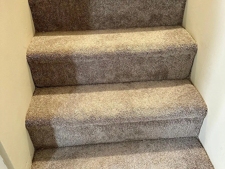 Brand new carpet