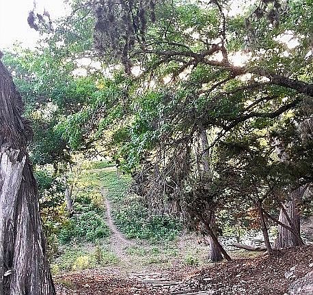 Pathway to River Frontage