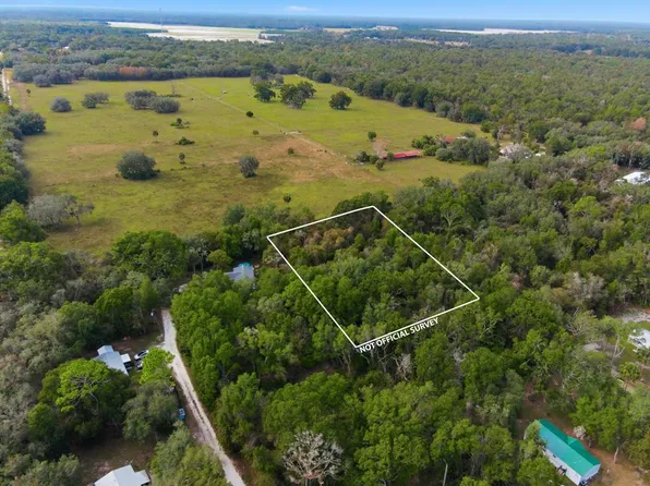 TBD NE 445th Ave, Old Town, FL 32680