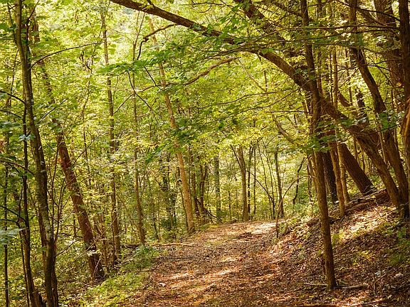 59th image of 3685 Martin Ervin Rd